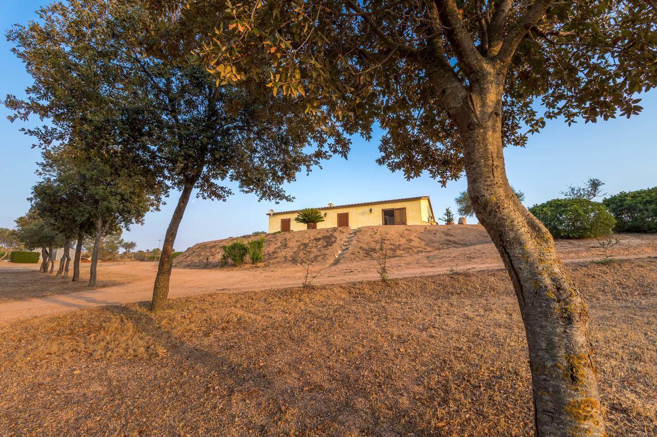 Molti Mari B&B Resort Olbia Dış mekan fotoğraf